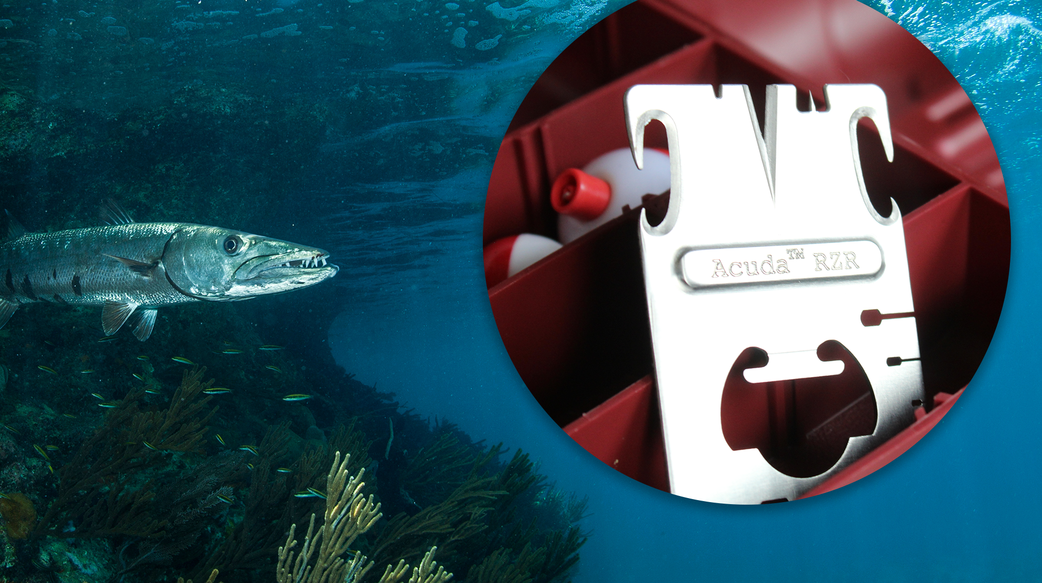 Acuda fishing lure in water with fish